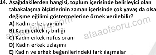 ata cocukgelisimlisans 1452 14