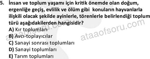 ata cocukgelisimlisans 1452 5