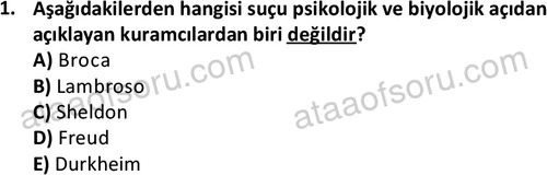 ata cocukgelisimlisans 1452 1