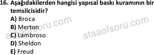 ata cocukgelisimlisans 1452 16