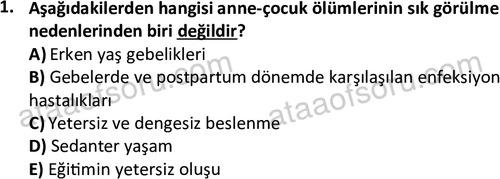 ata cocukgelisimlisans 1459 1