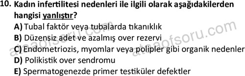 ata cocukgelisimlisans 1459 10