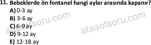 ata cocukgelisimlisans 1459 11