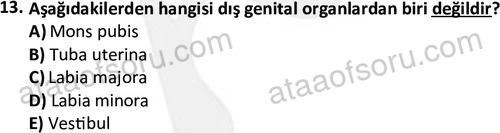 ata cocukgelisimlisans 1459 13