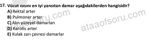 ata cocukgelisimlisans 1459 17