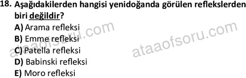 ata cocukgelisimlisans 1459 18