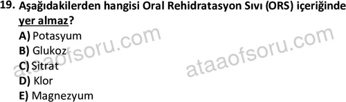 ata cocukgelisimlisans 1459 19