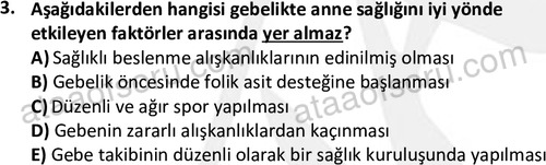 ata cocukgelisimlisans 1459 3
