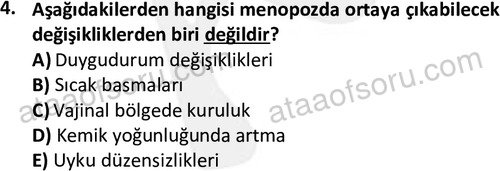ata cocukgelisimlisans 1459 4