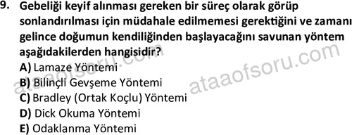 ata cocukgelisimlisans 1459 9
