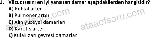 ata cocukgelisimlisans 1459 1