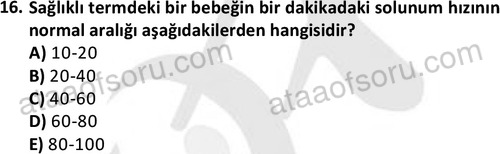 ata cocukgelisimlisans 1459 16