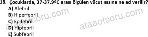 ata cocukgelisimlisans 1459 18