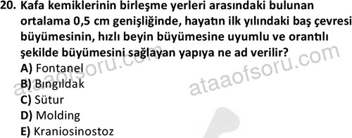 ata cocukgelisimlisans 1459 20