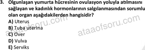 ata cocukgelisimlisans 1459 3