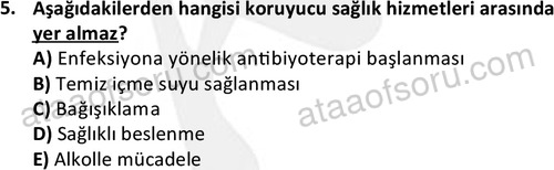 ata cocukgelisimlisans 1459 5
