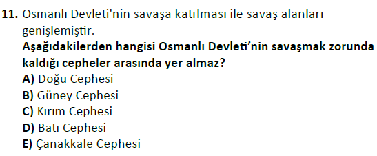 ata cocukgelisimlisans 1455 11