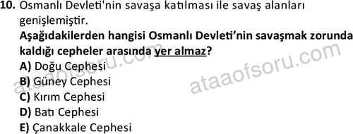 ata cocukgelisimlisans 1455 10