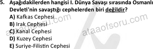 ata cocukgelisimlisans 1455 5