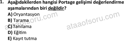 ata cocukgelisimlisans 1458 1