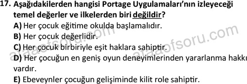 ata cocukgelisimlisans 1458 17