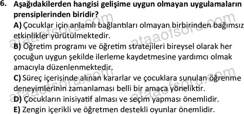ata cocukgelisimlisans 1458 6