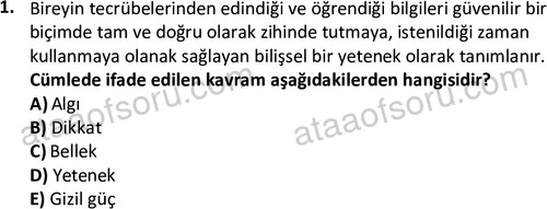 ata cocukgelisimlisans 1461 1