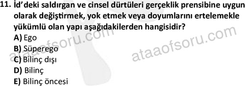 ata cocukgelisimlisans 1461 11