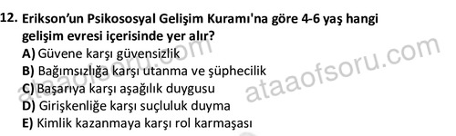 ata cocukgelisimlisans 1461 12