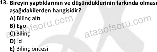 ata cocukgelisimlisans 1461 13