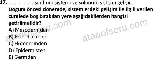 ata cocukgelisimlisans 1461 17