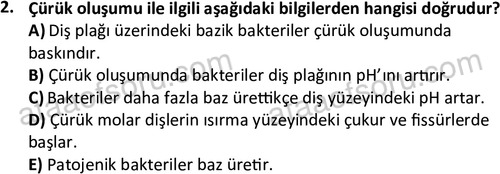ata cocukgelisimlisans 1461 2