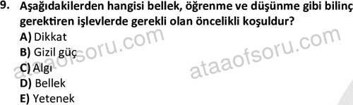 ata cocukgelisimlisans 1461 9