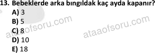 ata cocukgelisimlisans 1461 13