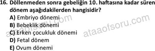 ata cocukgelisimlisans 1461 16