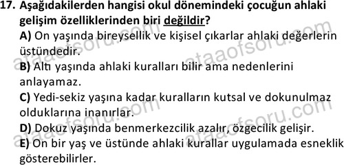 ata cocukgelisimlisans 1461 17