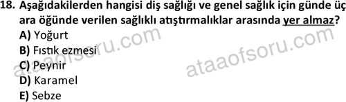 ata cocukgelisimlisans 1461 18