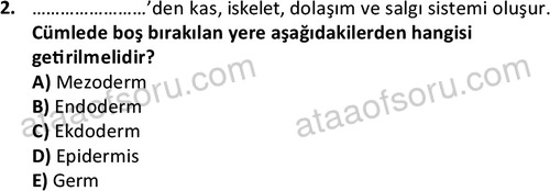 ata cocukgelisimlisans 1461 2