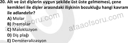 ata cocukgelisimlisans 1461 20