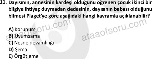 ata cocukgelisimlisans 1460 11