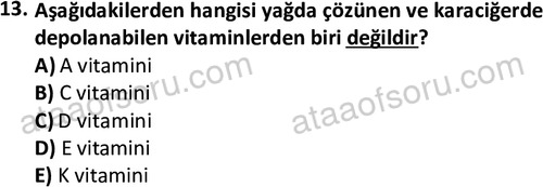 ata cocukgelisimlisans 1460 13