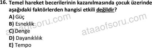 ata cocukgelisimlisans 1460 16