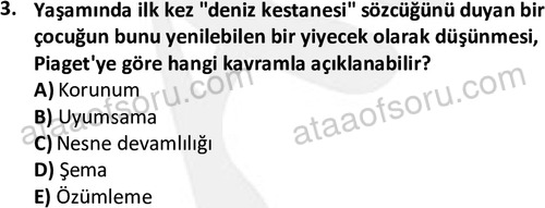 ata cocukgelisimlisans 1460 3