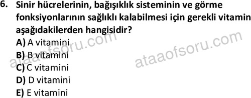 ata cocukgelisimlisans 1460 6