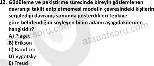 ata cocukgelisimlisans 1460 12
