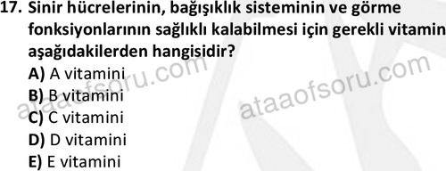 ata cocukgelisimlisans 1460 17