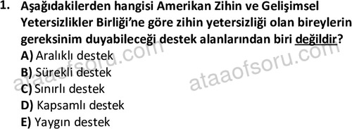 ata cocukgelisimlisans 1457 1