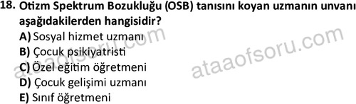 ata cocukgelisimlisans 1457 18