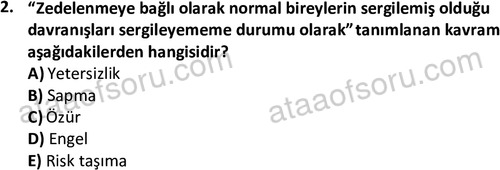 ata cocukgelisimlisans 1457 2