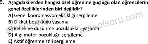 ata cocukgelisimlisans 1457 5